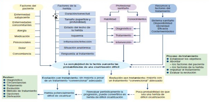 Factores que influyen en la cicatrización